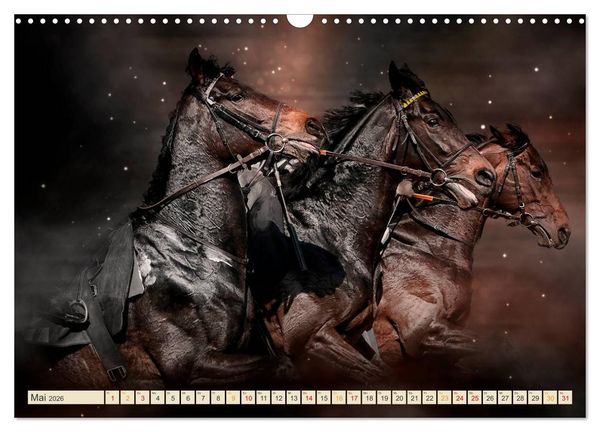 Produktbild: Eleganz und Sch&ouml;nheit - Pferde (Wandkalender 2026 DIN A3 quer), CALVENDO Monatskalender