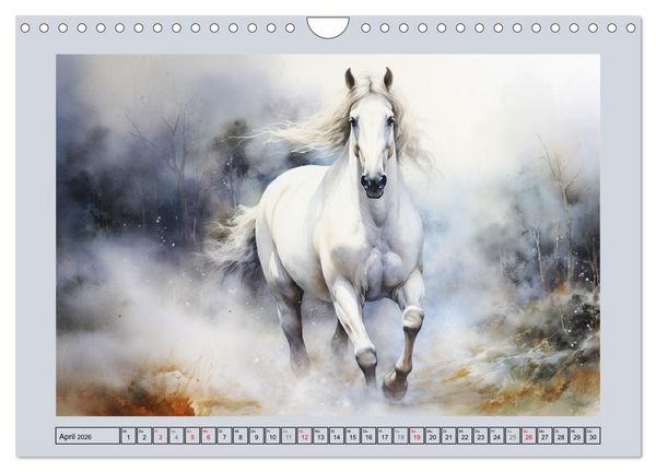 Produktbild: Anmutige Schimmel. &Auml;sthetik wei&szlig;er Aquarell-Pferde (Wandkalender 2026 DIN A4 quer), CALVENDO Monatskalender