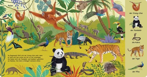 Produktbild: Tiere aus aller Welt