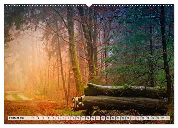 Produktbild: Wald - mystische Spazierg&auml;nge (Wandkalender 2026 DIN A2 quer), CALVENDO Monatskalender