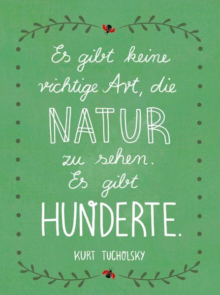 Produktbild: Lebe wild und voller Wunder