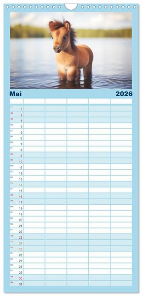 Produktbild: Familienplaner 2026 - Kleine Pferde. Mini-Ponys zum verlieben mit 5 Spalten (Wandkalender, 21 x 45 cm) CALVENDO