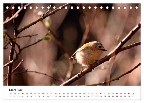 Produktbild: Bergell - Bregaglia Impressionen (Tischkalender 2026 DIN A5 quer), CALVENDO Monatskalender