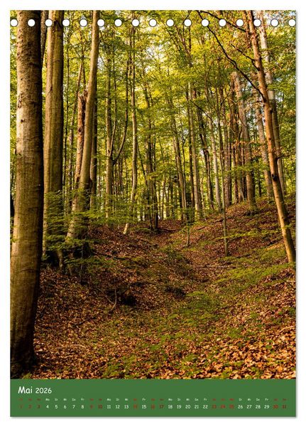 Produktbild: Ich bin dann mal im Wald (Tischkalender 2026 DIN A5 hoch), CALVENDO Monatskalender