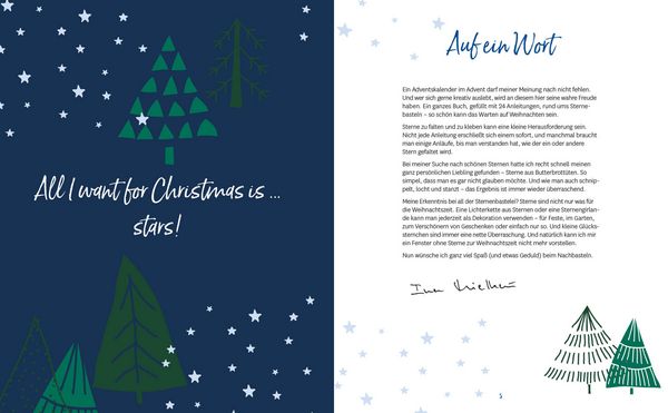 Produktbild: Adventskalender Weihnachtssterne