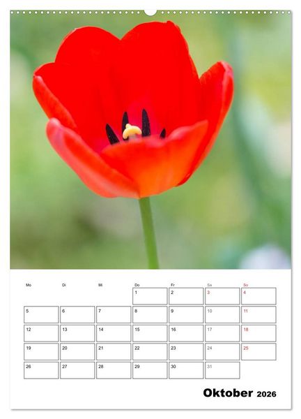 Produktbild: Farben der Natur (hochwertiger Premium Wandkalender 2026 DIN A2 hoch), Kunstdruck in Hochglanz