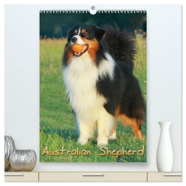 Produktbild: Australian Shepherd (hochwertiger Premium Wandkalender 2026 DIN A2 hoch), Kunstdruck in Hochglanz