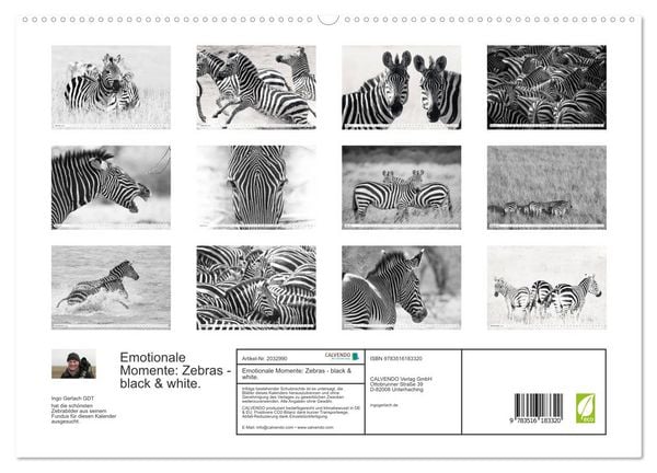 Produktbild: Emotionale Momente: Zebras - black & white. (hochwertiger Premium Wandkalender 2026 DIN A2 quer), Kunstdruck in Hochglanz