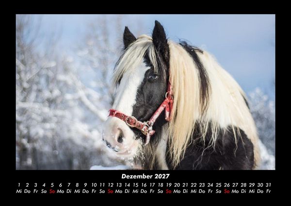 Produktbild: Pferdegefl&uuml;ster 2027 Fotokalender DIN A3
