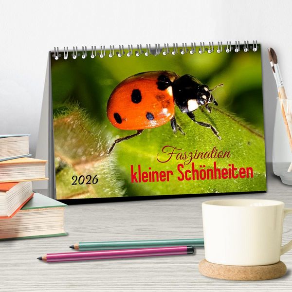 Produktbild: Faszination kleiner Sch&ouml;nheiten (Tischkalender 2026 DIN A5 quer), CALVENDO Monatskalender
