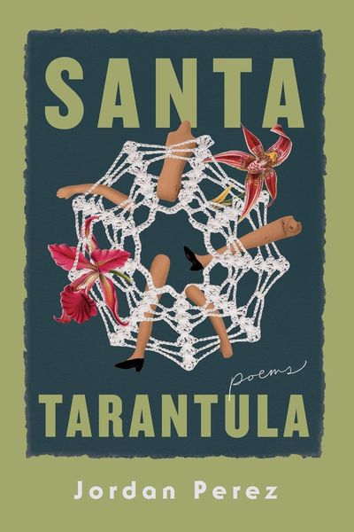 Produktbild: Santa Tarantula