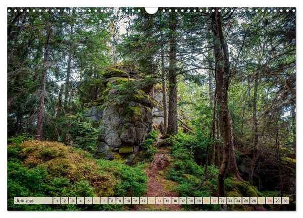 Produktbild: Deutschland - Nationalparks (Wandkalender 2026 DIN A3 quer), CALVENDO Monatskalender