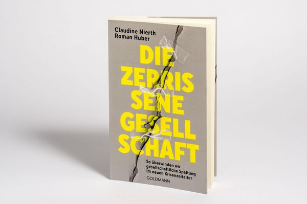 Produktbild: Die zerrissene Gesellschaft