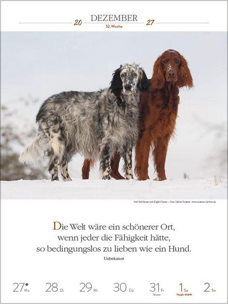 Produktbild: Literaturkalender Hunde 2027