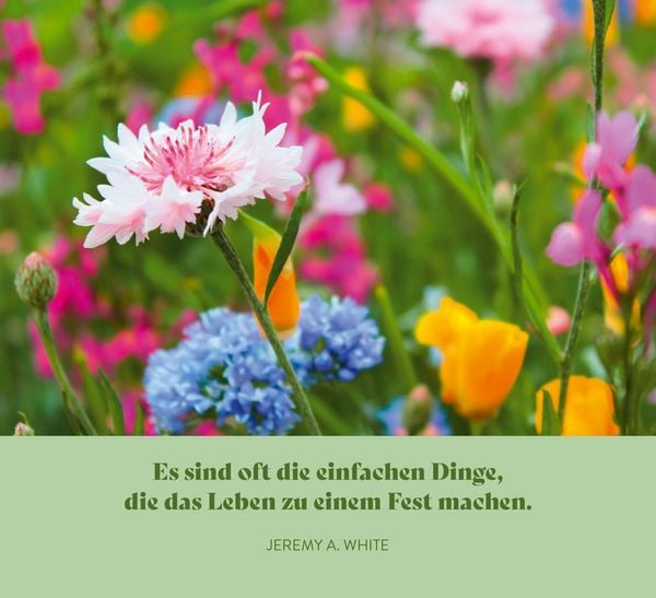 Produktbild: Lebe, wie es dir gef&auml;llt