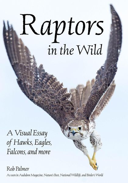 Produktbild: Raptors in the Wild
