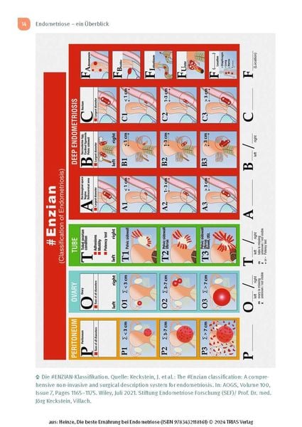 Produktbild: Die beste Ernährung bei Endometriose