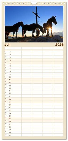 Produktbild: Familienplaner 2026 - Pferde und Ponys im Paradies mit 5 Spalten (Wandkalender, 21 x 45 cm) CALVENDO