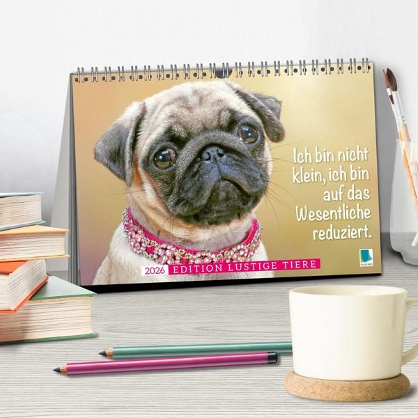 Produktbild: Der Mops: Nicht klein, sondern aufs Wesentliche reduziert. (Tischkalender 2026 DIN A5 quer), CALVENDO Monatskalender