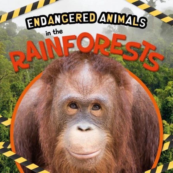 Produktbild: In the Rainforests