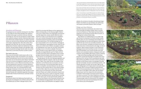 Produktbild: Immerbl&uuml;hende Beete