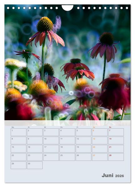Produktbild: Magie im Garten (Wandkalender 2026 DIN A4 hoch), CALVENDO Monatskalender