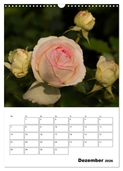 Produktbild: Zauberhafte Rosen (Wandkalender 2026 DIN A3 hoch), CALVENDO Monatskalender