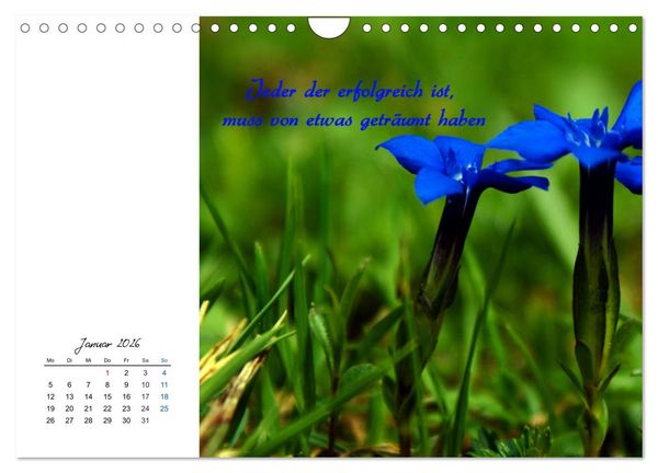 Produktbild: Innehalten in der Natur ... mit Weisheiten und Sprichworten der Indianer (Wandkalender 2026 DIN A4 quer), CALVENDO Monatskalender