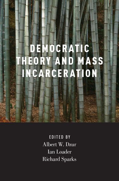 Produktbild: Democratic Theory and Mass Incarceration