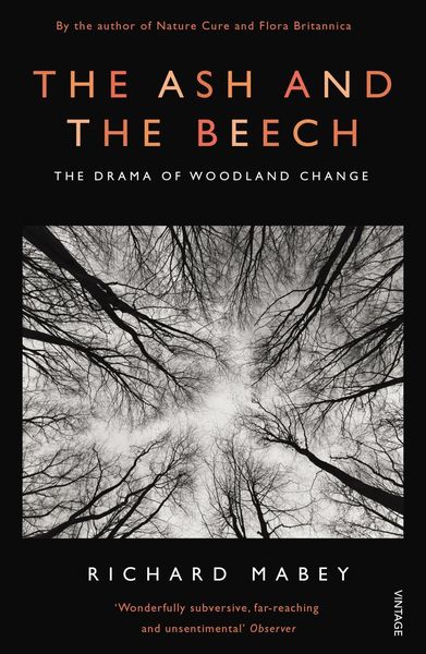 Produktbild: The Ash and The Beech