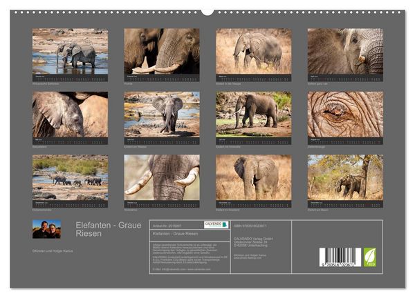 Produktbild: Elefanten - Graue Riesen (hochwertiger Premium Wandkalender 2026 DIN A2 quer), Kunstdruck in Hochglanz