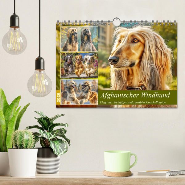 Produktbild: Afghanischer Windhund. Eleganter Sichtj&auml;ger und sensibler Couch-Potatoe (Wandkalender 2026 DIN A4 quer), CALVENDO Monatskalender