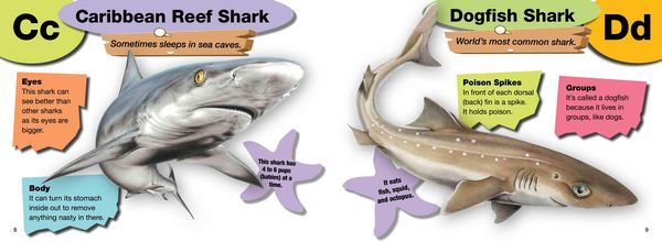 Produktbild: A-Z of Sharks
