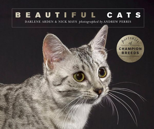 Produktbild: Beautiful Cats