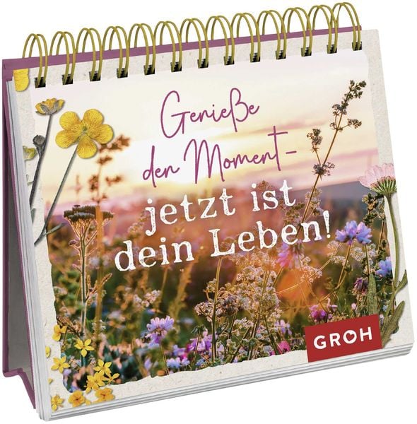 Genieße den Moment – jetzt ist dein Leben!, Gebundene Ausgabe von , Groh, 9783848500741