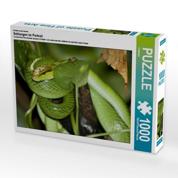 CALVENDO Puzzle Spitzkopfnatter | 1000 Teile Lege-Größe 64x48cm Foto-Puzzle für glückliche Stunden