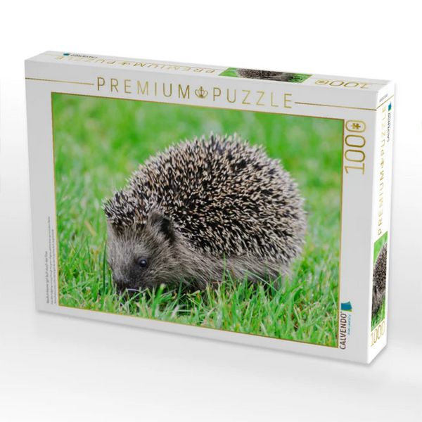 Produktbild: CALVENDO Puzzle Niedlich kleiner Igel l&auml;uft durch das Gras | 1000 Teile Lege-Gr&ouml;&szlig;e 64x48cm Foto-Puzzle f&uuml;r gl&uuml;ckliche Stunden