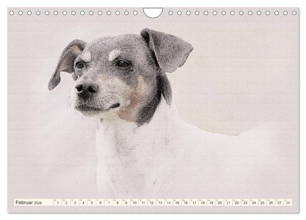 Produktbild: Bodeguero Andaluz 2026 (Wandkalender 2026 DIN A4 quer), CALVENDO Monatskalender