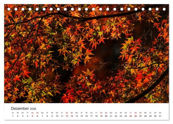 Produktbild: Japanischer Herbst und Laub (Tischkalender 2026 DIN A5 quer), CALVENDO Monatskalender
