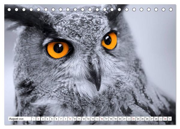 Produktbild: Erfolgreiche J&auml;ger (Tischkalender 2026 DIN A5 quer), CALVENDO Monatskalender