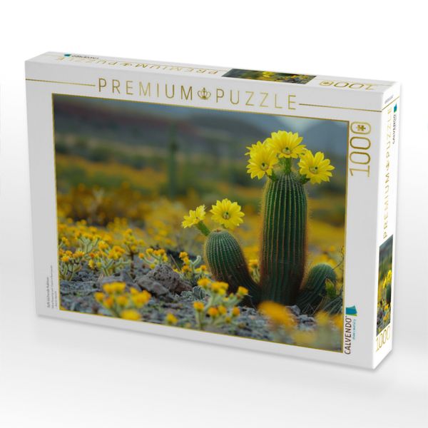 Produktbild: CALVENDO Puzzle Gelb bl&uuml;hende Kakteen | 1000 Teile Lege-Gr&ouml;&szlig;e 64x48cm Foto-Puzzle f&uuml;r gl&uuml;ckliche Stunden