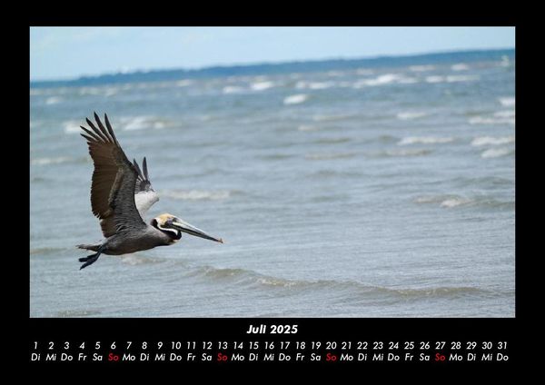 Produktbild: Naturlandschaften 2025 Fotokalender DIN A3