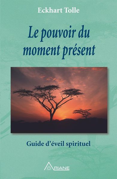 Produktbild: Le pouvoir du moment present