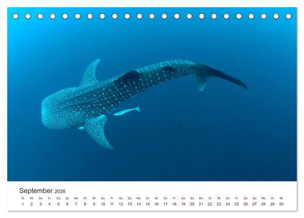 Produktbild: Tiefsee - Ein Abenteuer ins Unbekannte. (Tischkalender 2026 DIN A5 quer), CALVENDO Monatskalender