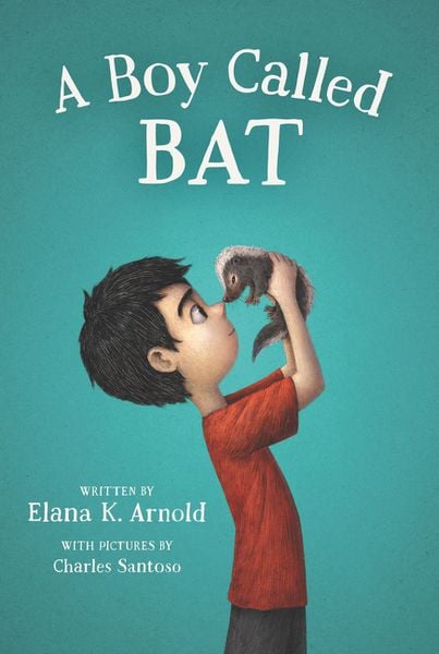 Produktbild: A Boy Called Bat