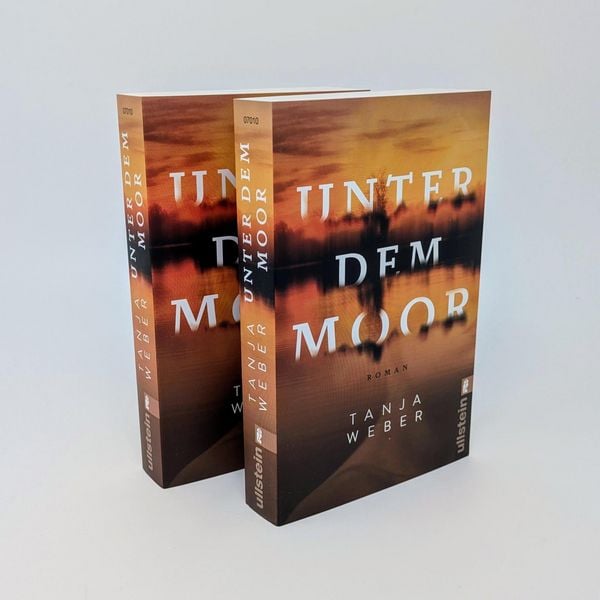Produktbild: Unter dem Moor
