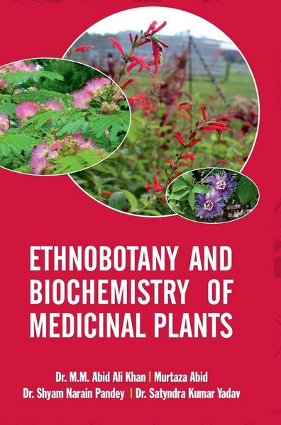 Produktbild: Ethnobotany and Biochemistry Of Medicinal Plants