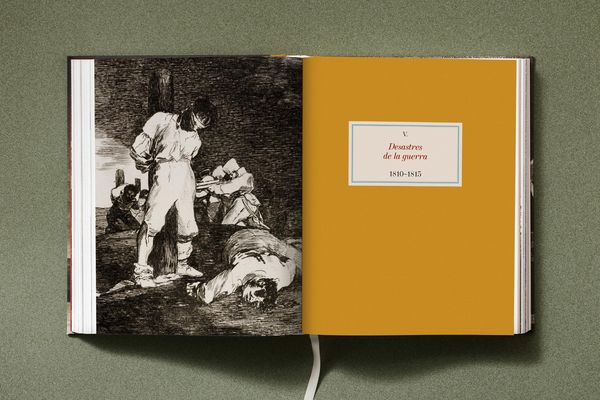 Produktbild: Goya