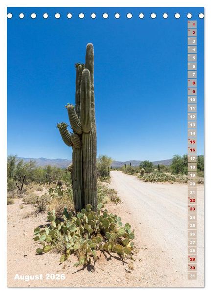 Produktbild: SAGUARO NATIONAL PARK W&uuml;stenimpressionen aus Arizona (Tischkalender 2026 DIN A5 hoch), CALVENDO Monatskalender