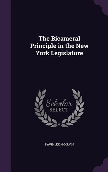 Produktbild: The Bicameral Principle in the New York Legislature